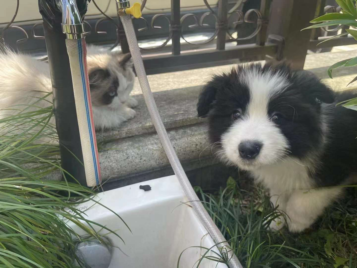 Dundun